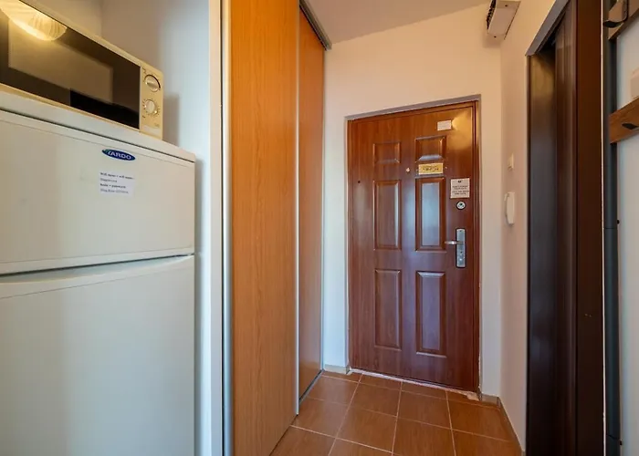 Cozy Studio Apartment